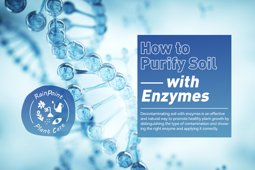 How to Purify Soil with Enzymes – RainPoint