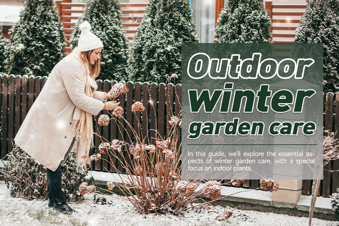 Embracing the Chill: A Gardening Expert's Guide to Winter Garden Care