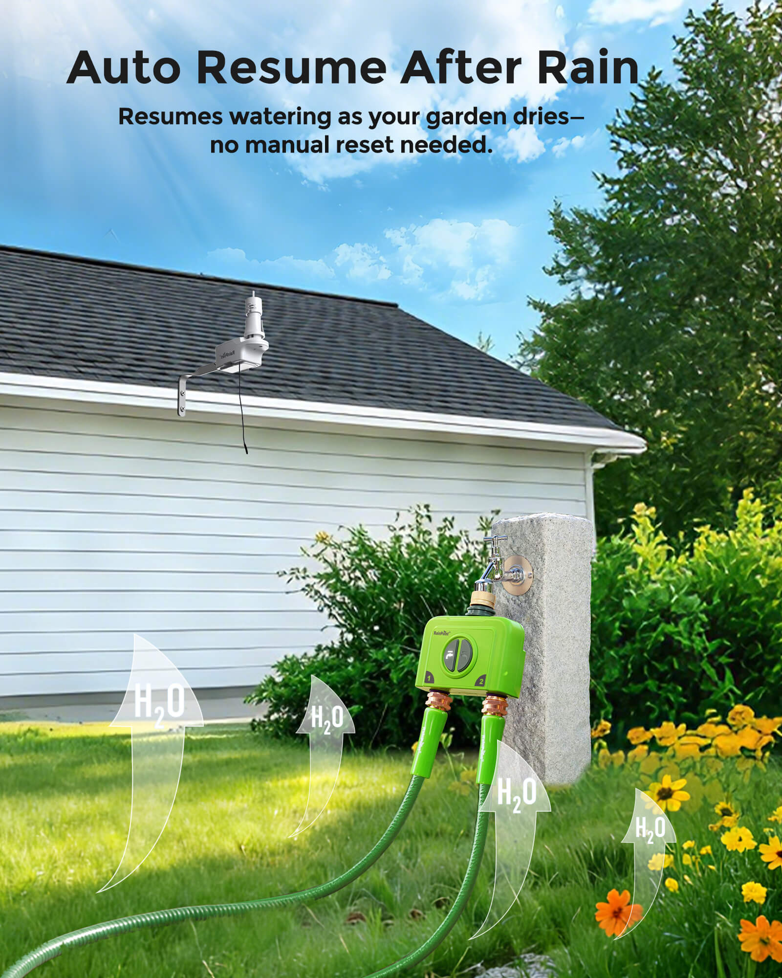Auto watering system with hoses and flowers, resuming after rain.