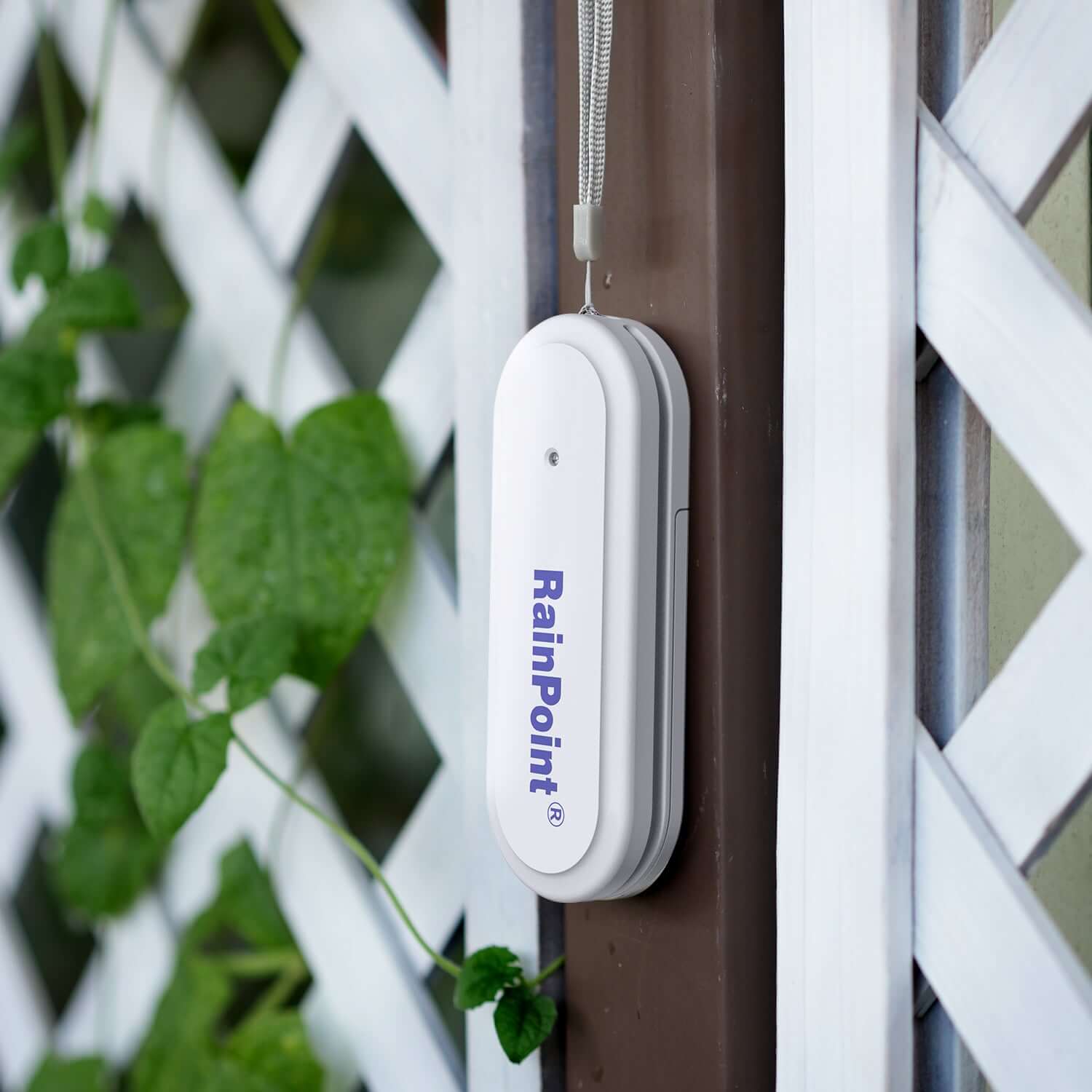 The sensor supports both ℃s and ℉ readings and features precise measurements and reliable data collection, making it your first choice for any outdoor environment.