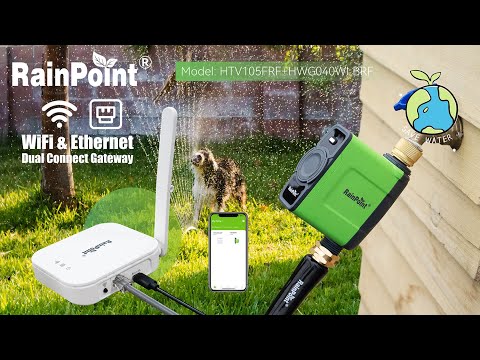 RainPoint with Brass Inlet Smart Sprinkler Timer  with Ethernet Gateway