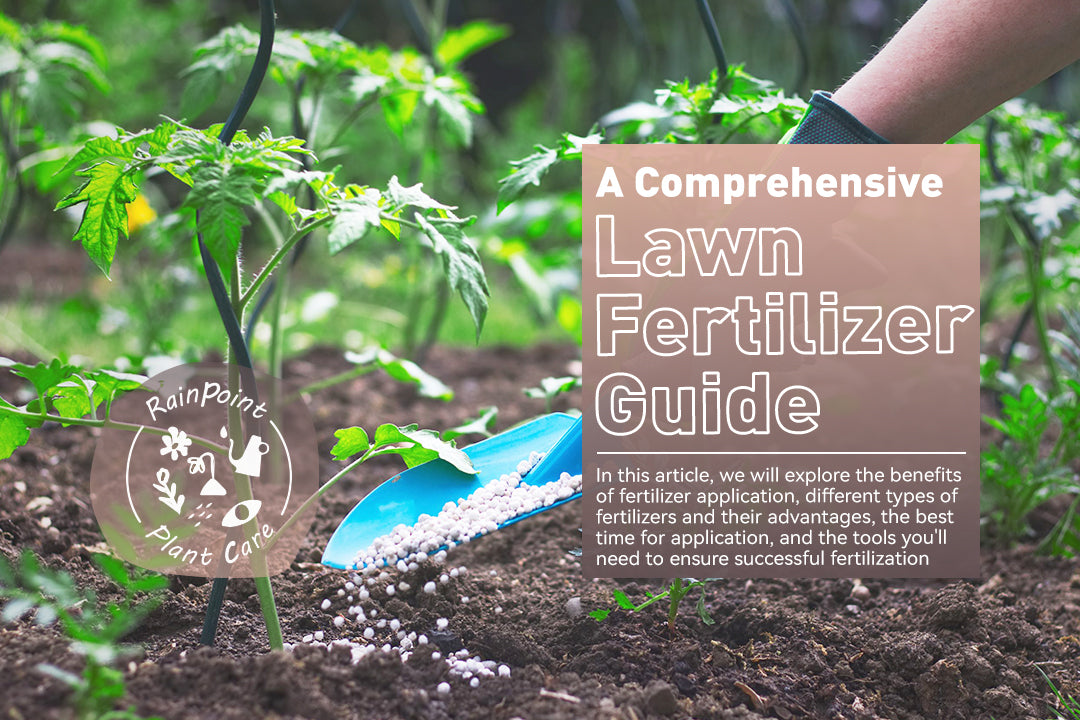 A Comprehensive Lawn Fertilizer Guide