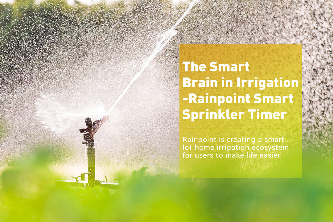 The Smart Brain in Irrigation - Rainpoint Smart Sprinkler Timer
