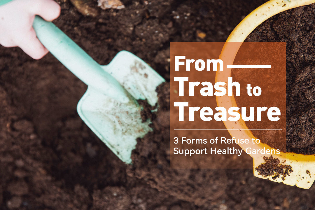 From Trash to Treasure: 3 Forms of Refuse to Support Healthy Gardens