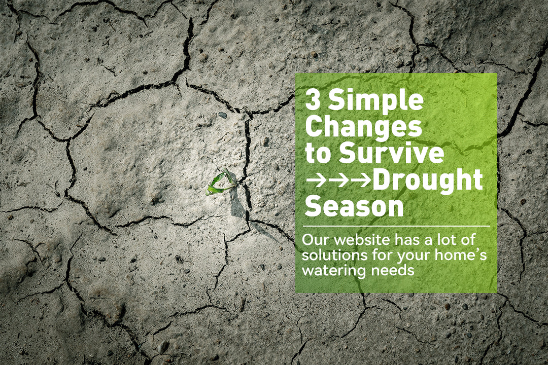 3 Simple Changes to Survive Drought Season