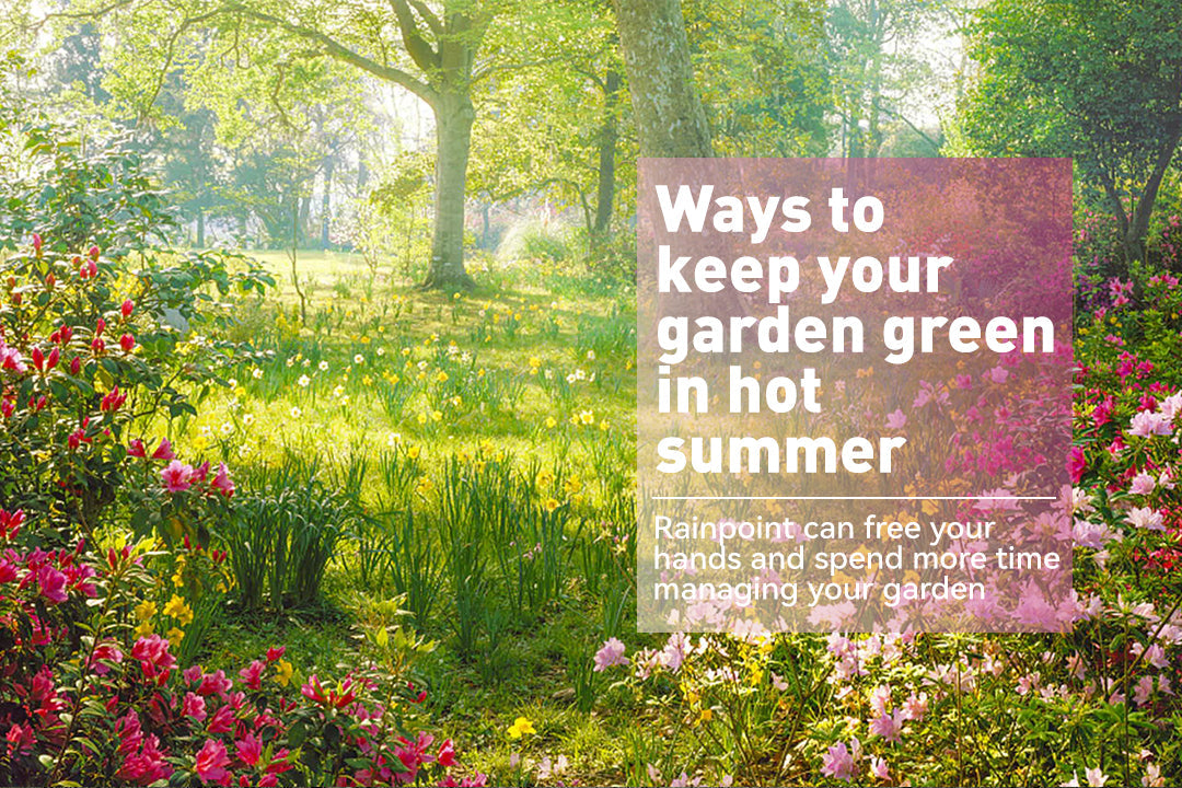 Ways to keep your garden green in hot summer