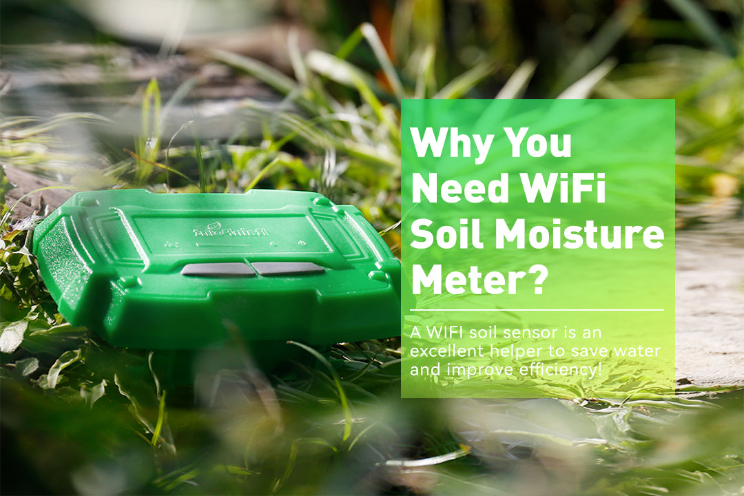 Why You Need WiFi Soil Moisture Meter? RainPoint Irrigation