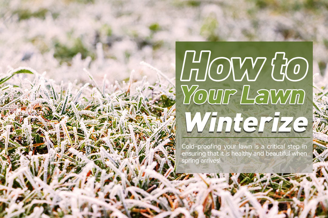 How to Winterize Your Lawn