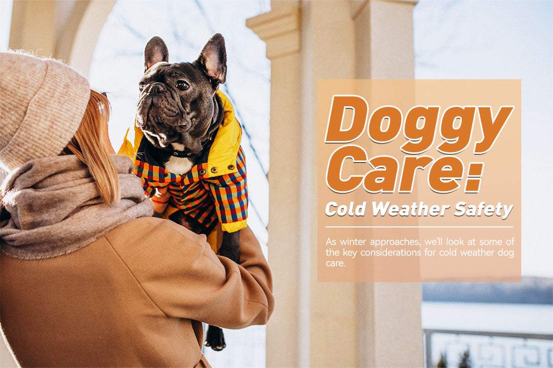 Doggy Care: Cold Weather Safety