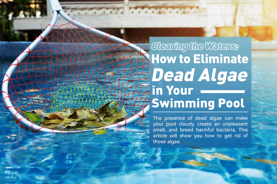 Clearing the Waters: How to Eliminate Dead Algae in Your Swimming Pool