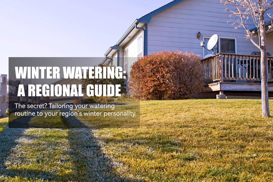 Winter Watering: A Regional Guide