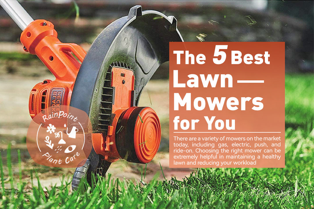 The 5 Best Lawn Mowers for You