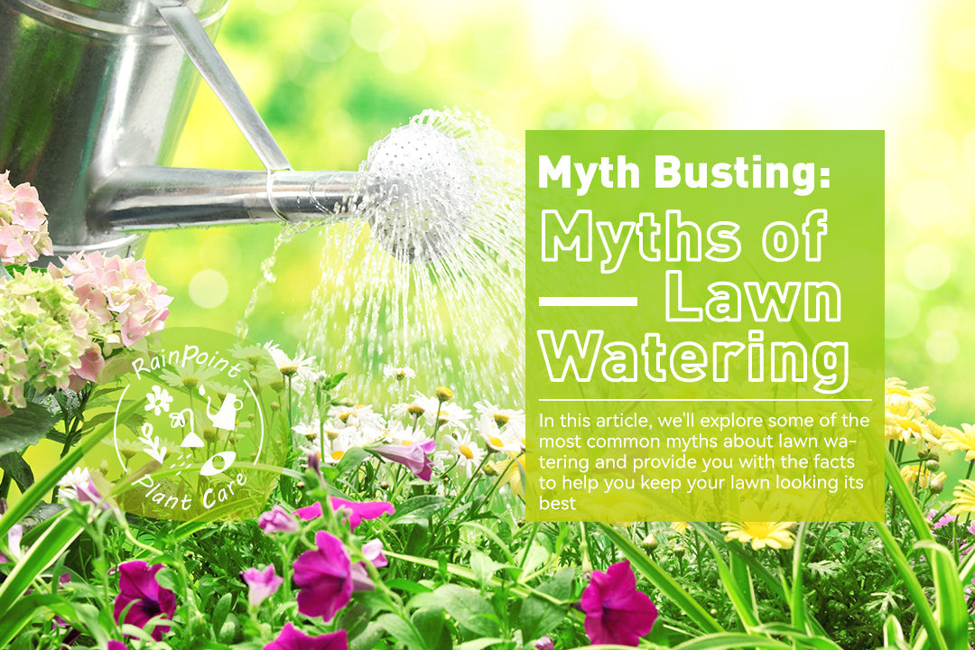 Myth Busting: Myths of Lawn Watering