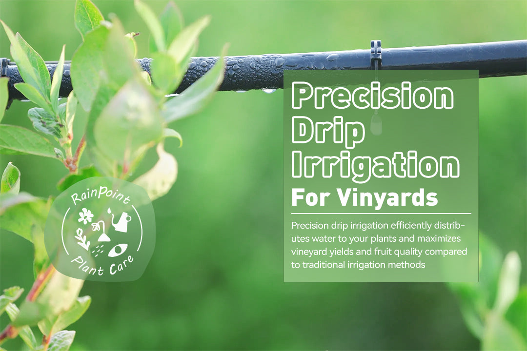 Precision Drip Irrigation for Vinyards – RainPoint