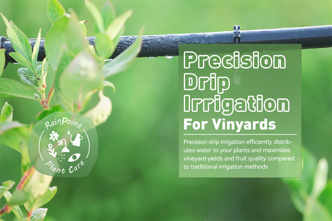 Precision Drip Irrigation for Vinyards