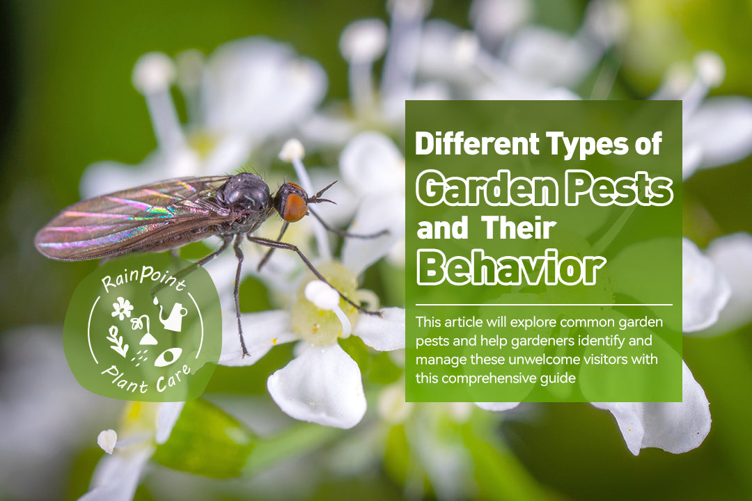 Different Types of Garden Pests and Their Behavior