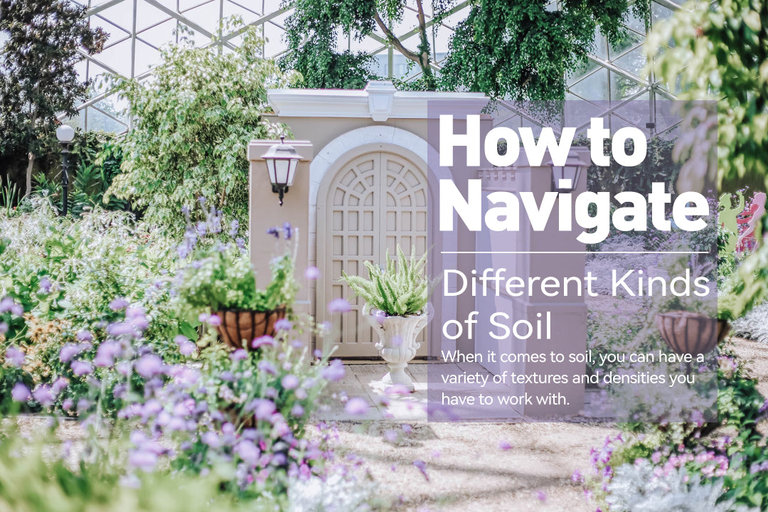 How to Navigate Different Kinds of Soil - RainPoint