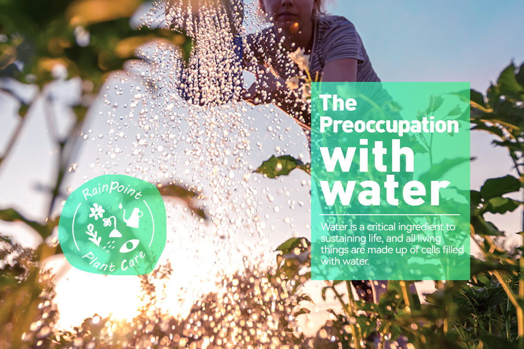 The Preoccupation with Water