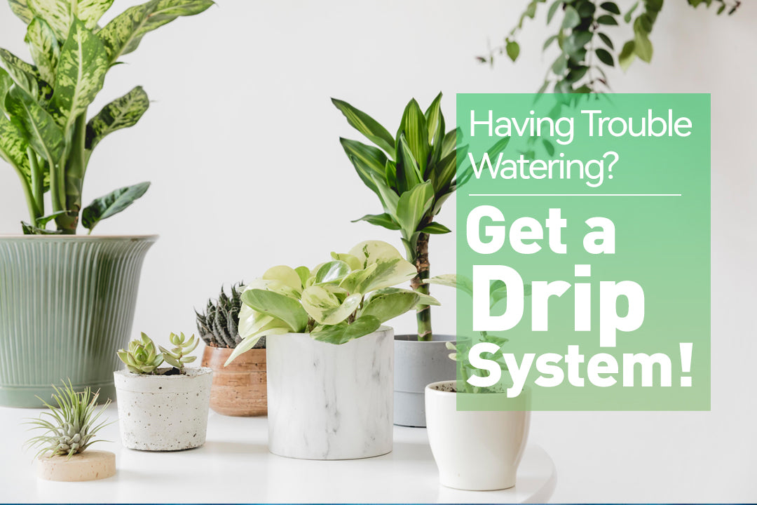Having Trouble Watering? Get a Drip System! - RainPoint