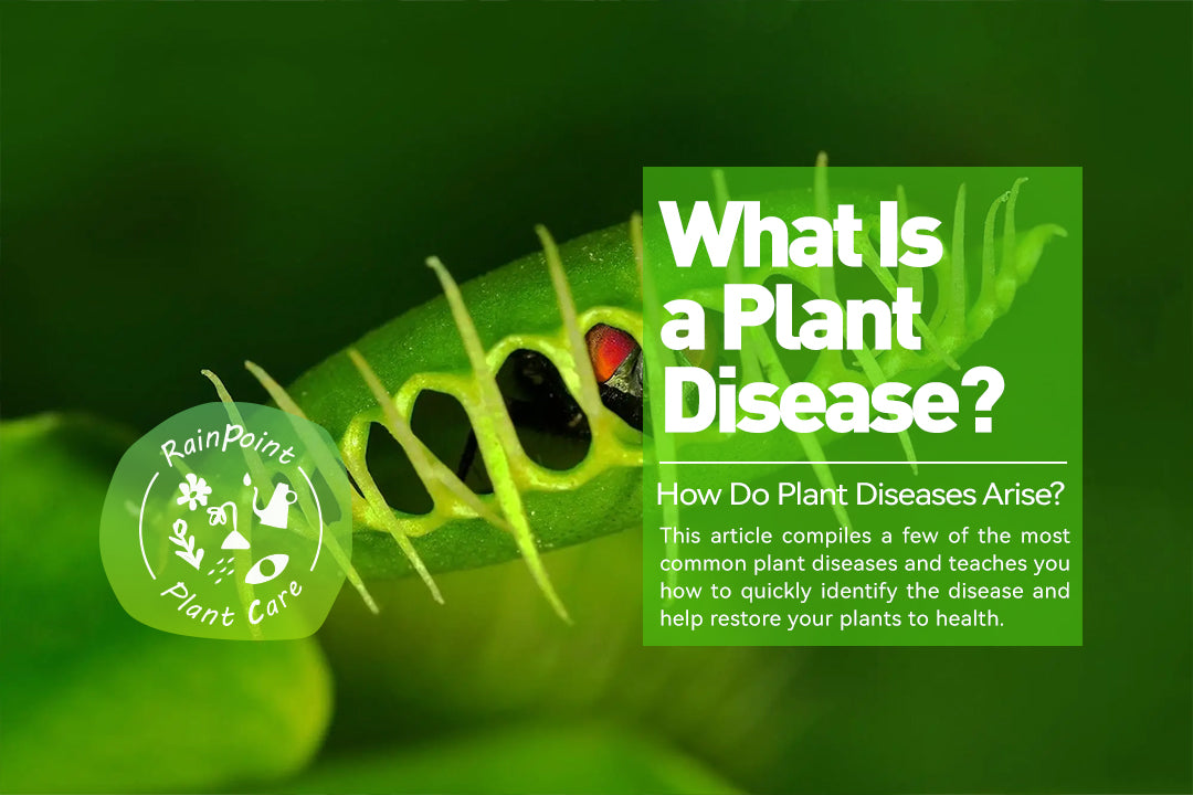 What Is a Plant Disease?
