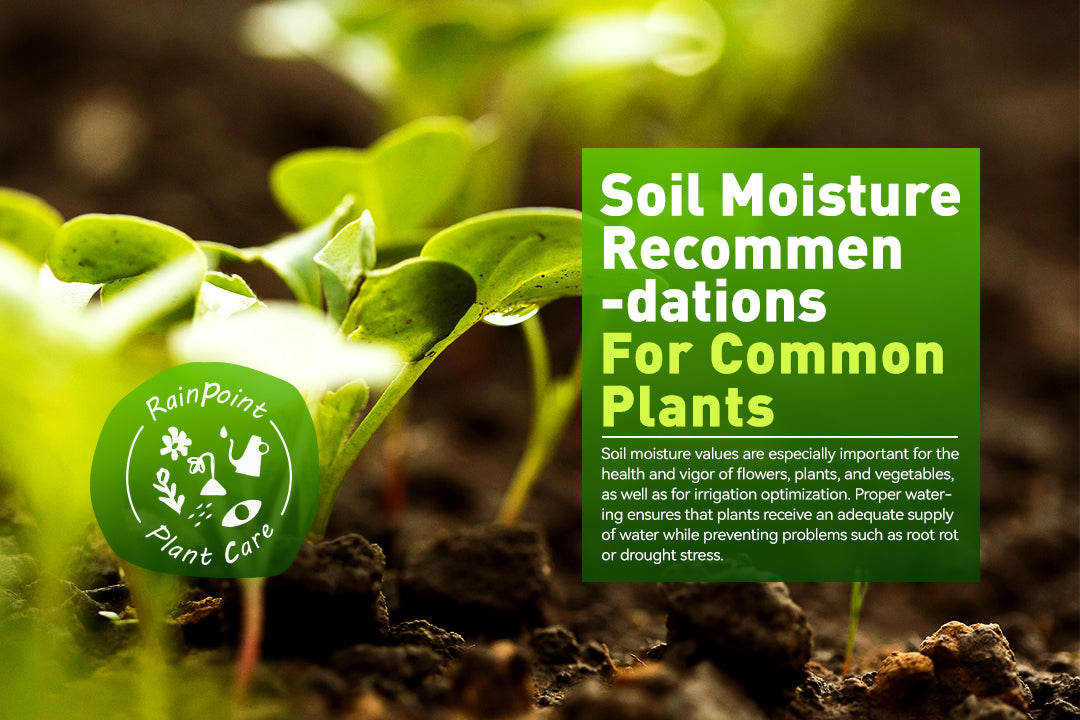 Soil Moisture Recommendations for Common Plants
