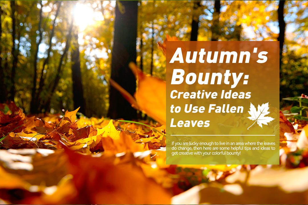 Autumn's Bounty: Creative Ideas to Use Fallen Leaves