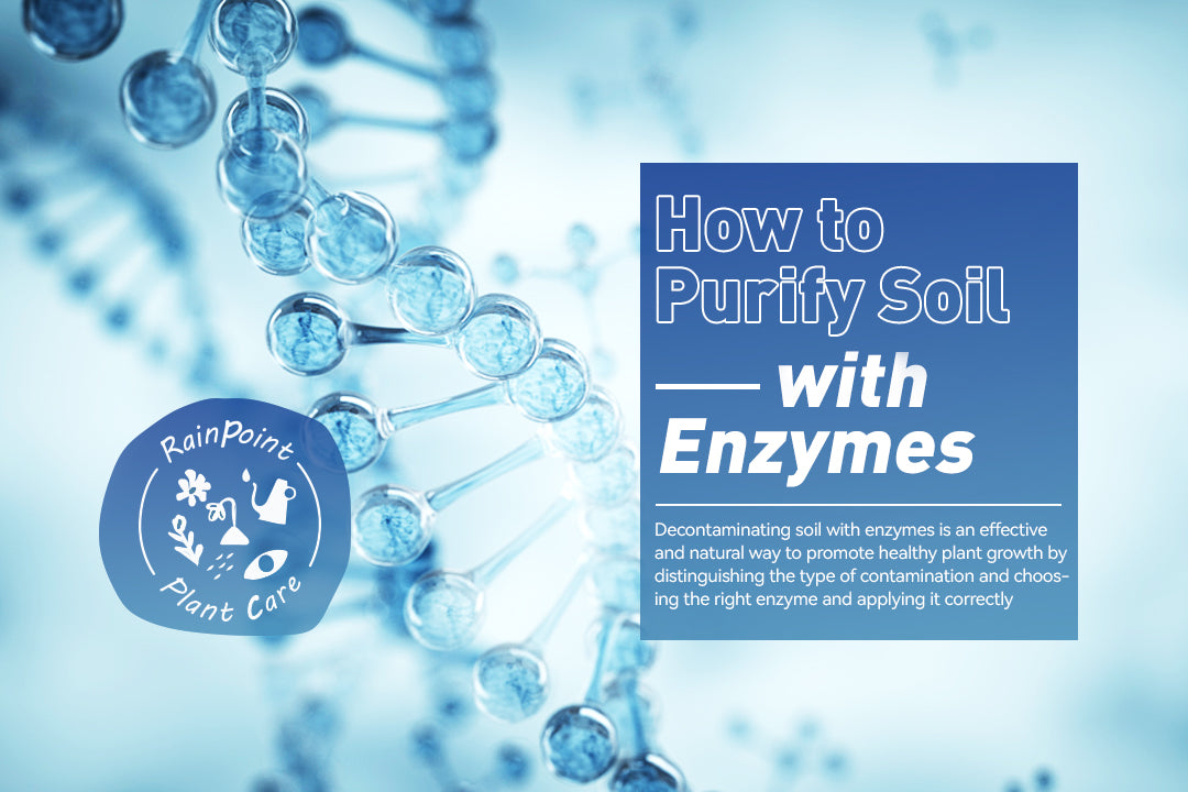 How to Purify Soil with Enzymes