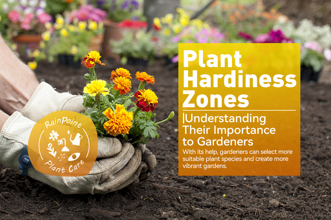 Plant Hardiness Zones|Understanding Their Importance to Gardeners