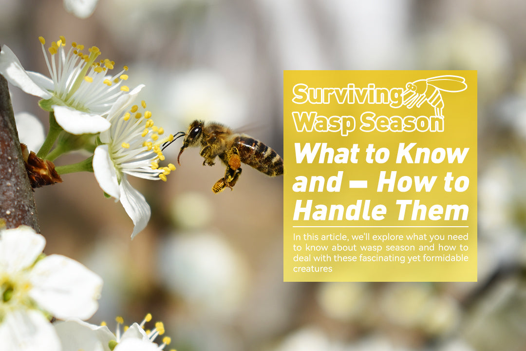 Surviving Wasp Season: What to Know and How to Handle Them