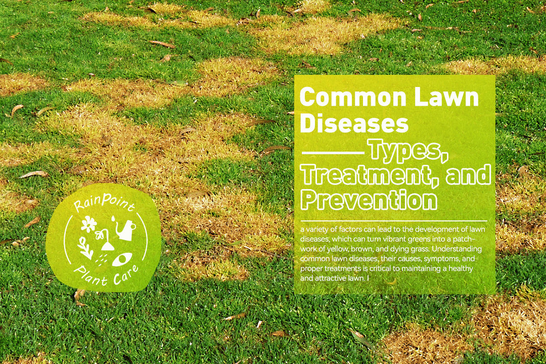 Common Lawn Diseases: Types, Treatment, and Prevention