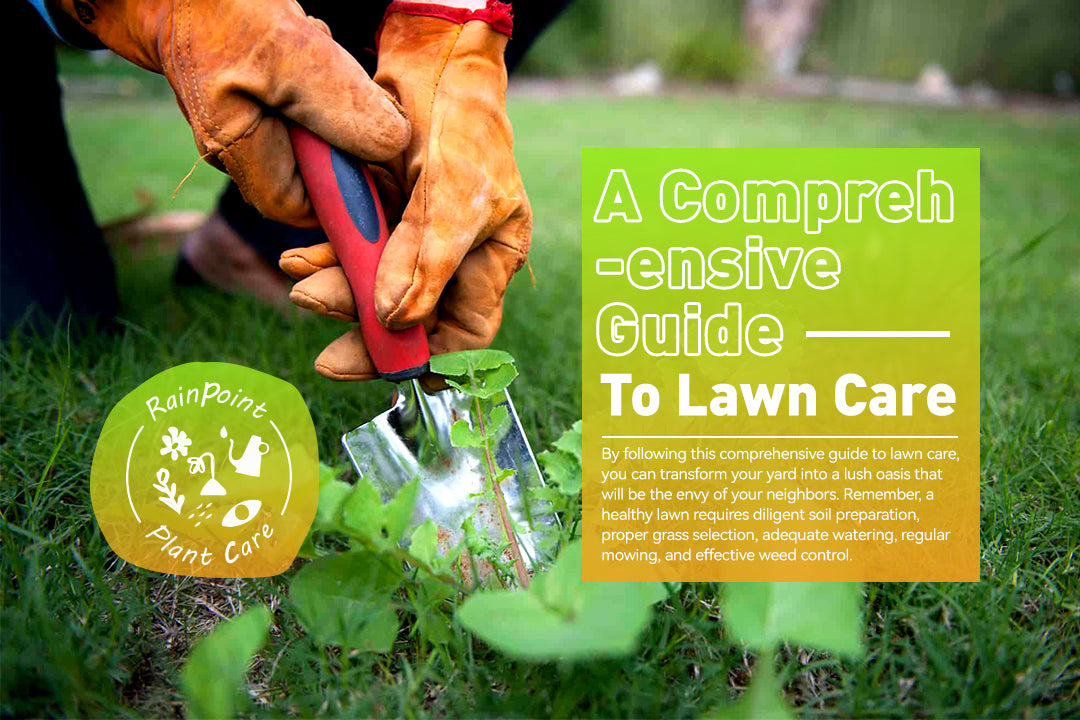 A Comprehensive Guide to Lawn Care