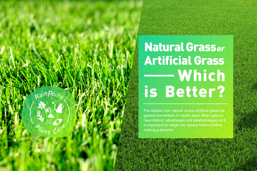 Natural Grass or Artificial Grass