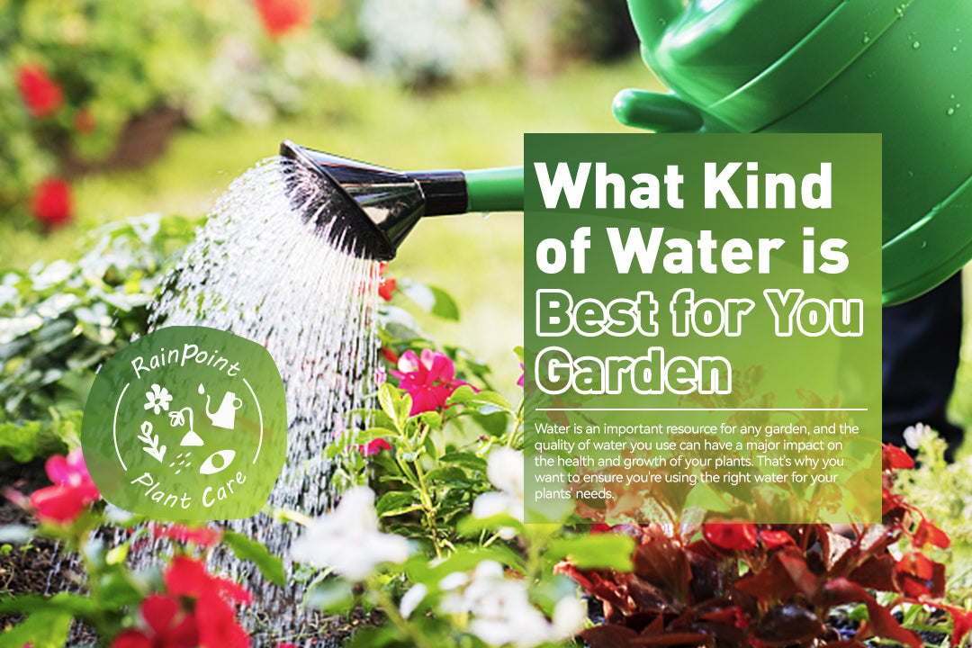 What Kind of Water is Best for Your Garden? RainPoint Irrigation