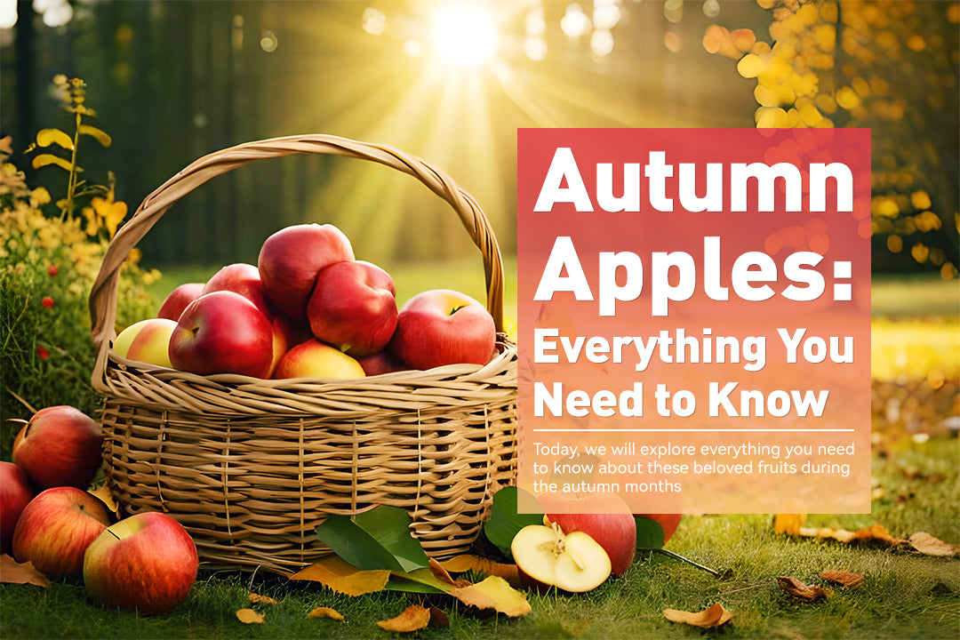 Autumn Apples: Everything You Need to Know