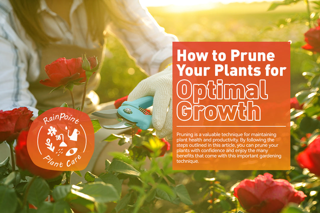 How to Prune Your Plants for Optimal Growth