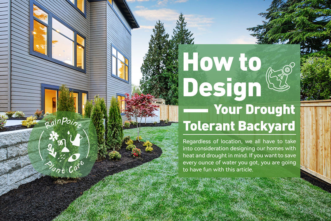 How to Design Your Drought Tolerant Backyard