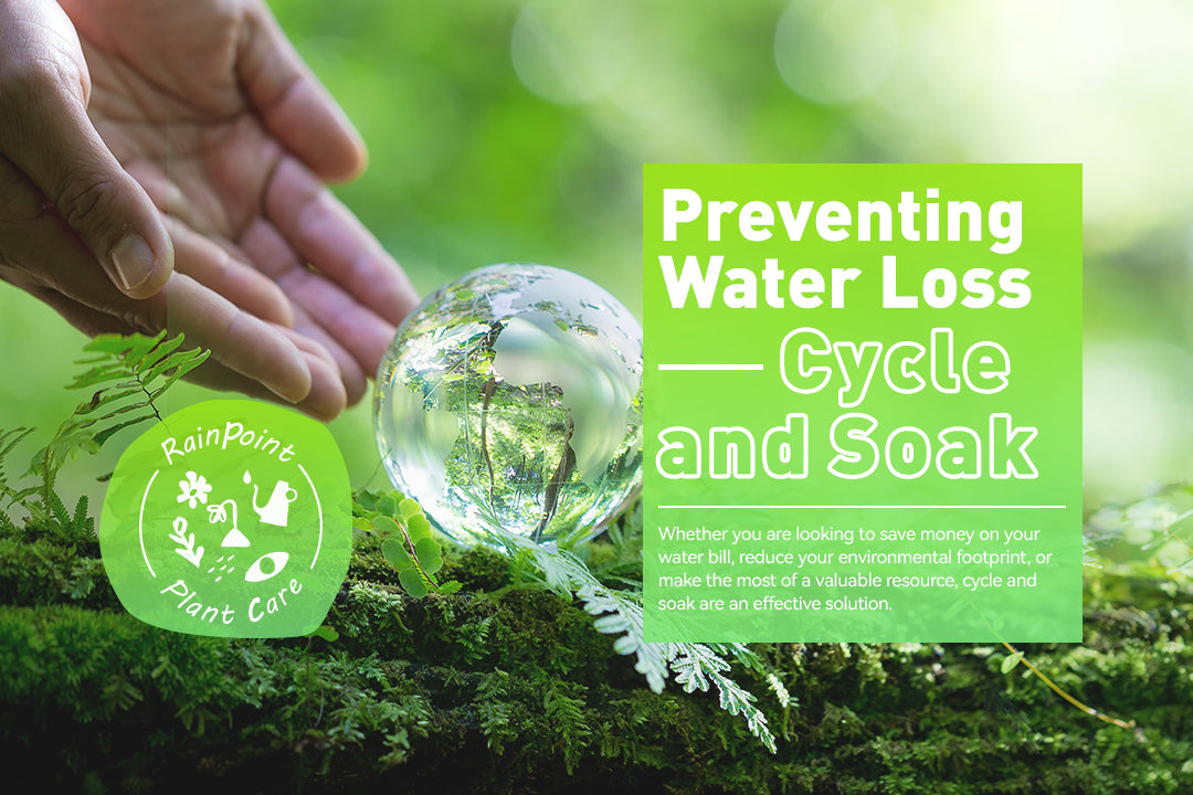 Preventing Water Loss: Cycle and Soak