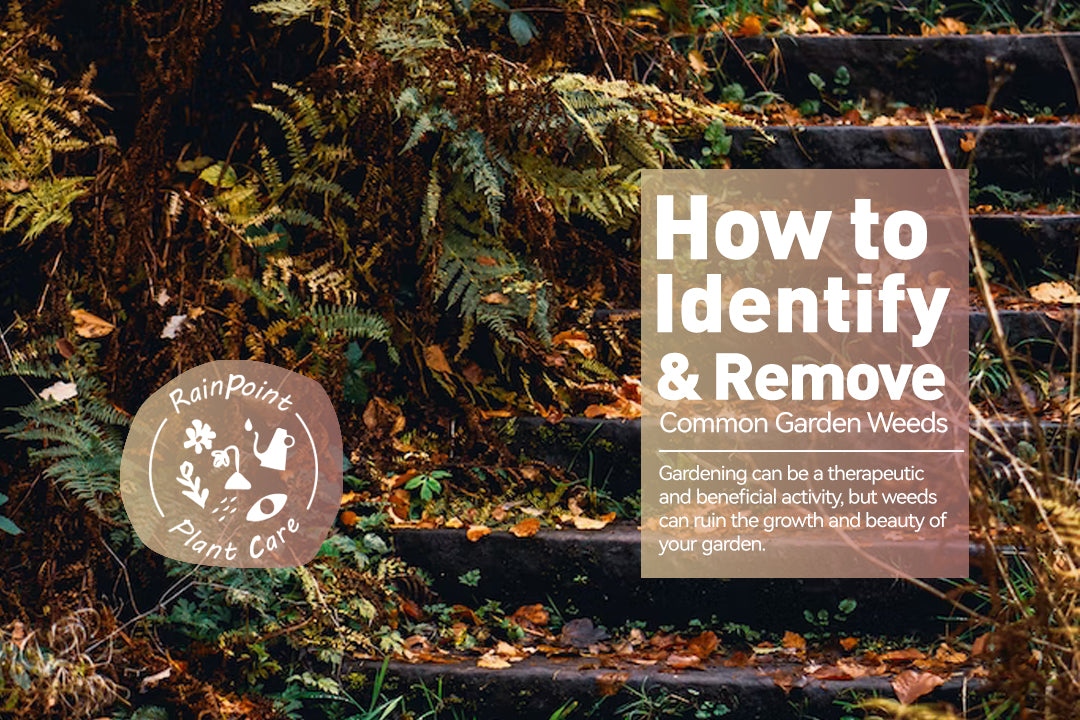How to Identify and Remove Common Garden Weeds