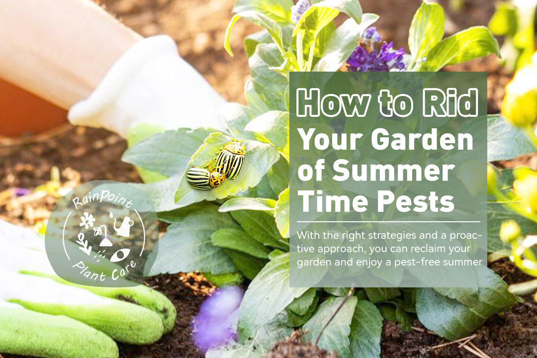 How to Rid Your Garden of Summer Time Pests