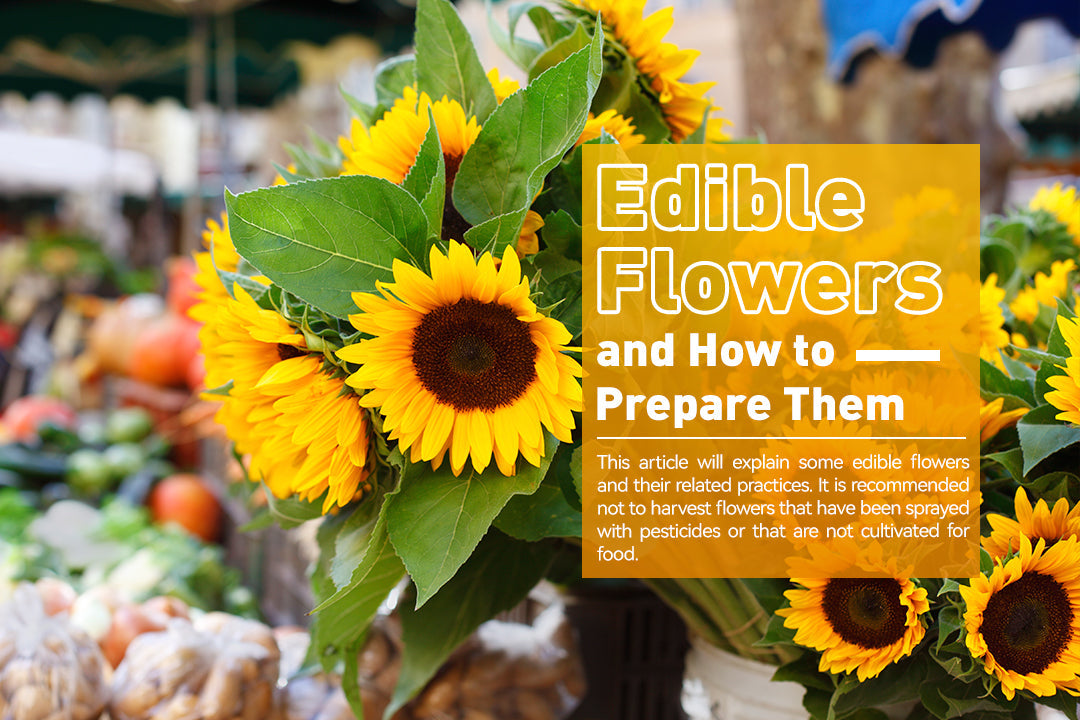 Edible Flowers and How to Prepare Them