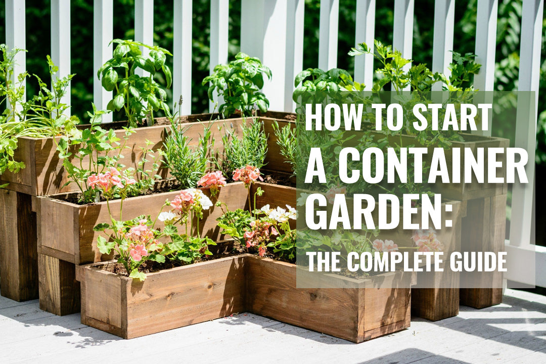 How to Start a Container Garden: The Complete Guide