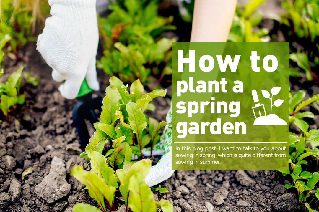 How To Plant A Spring Garden – RainPoint