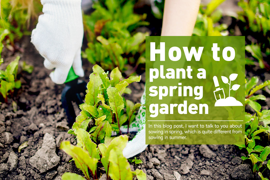 How To Plant A Spring Garden