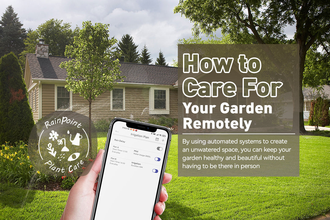 How to Care For Your Garden Remotely