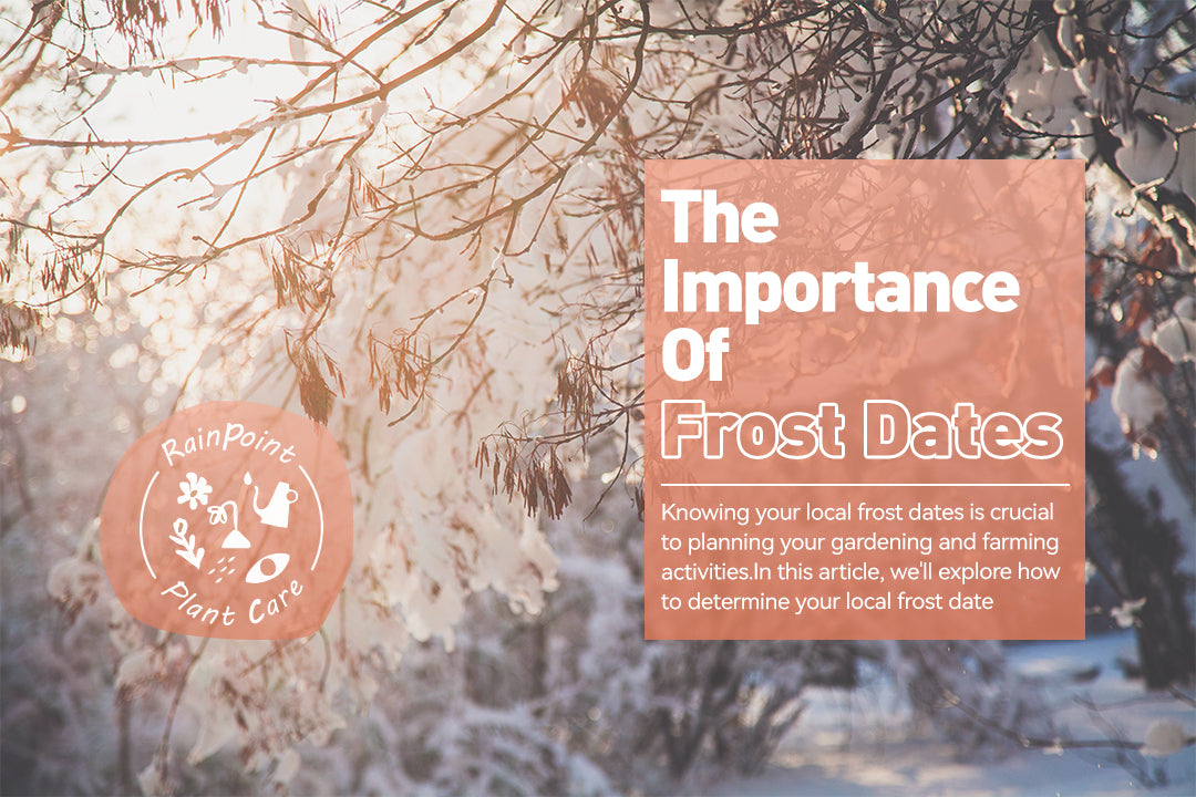 The Importance of Frost Dates