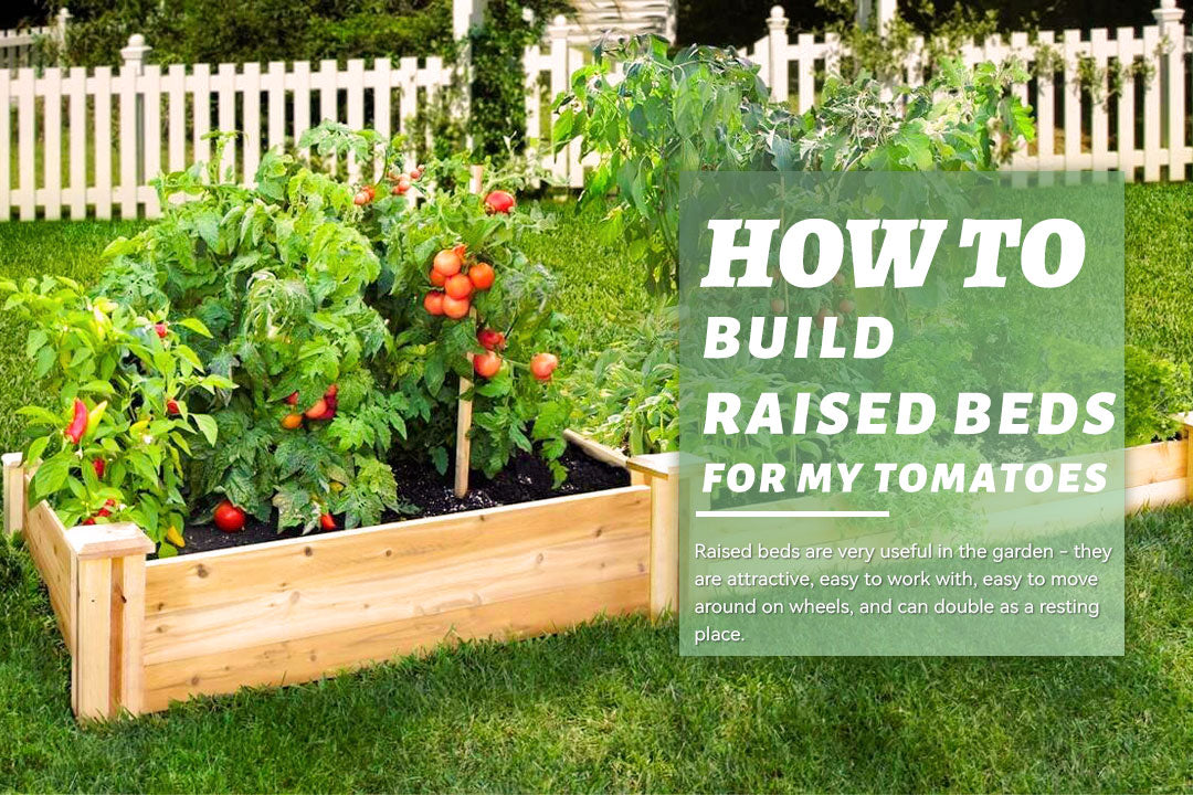 How to build raised beds for my tomatoes