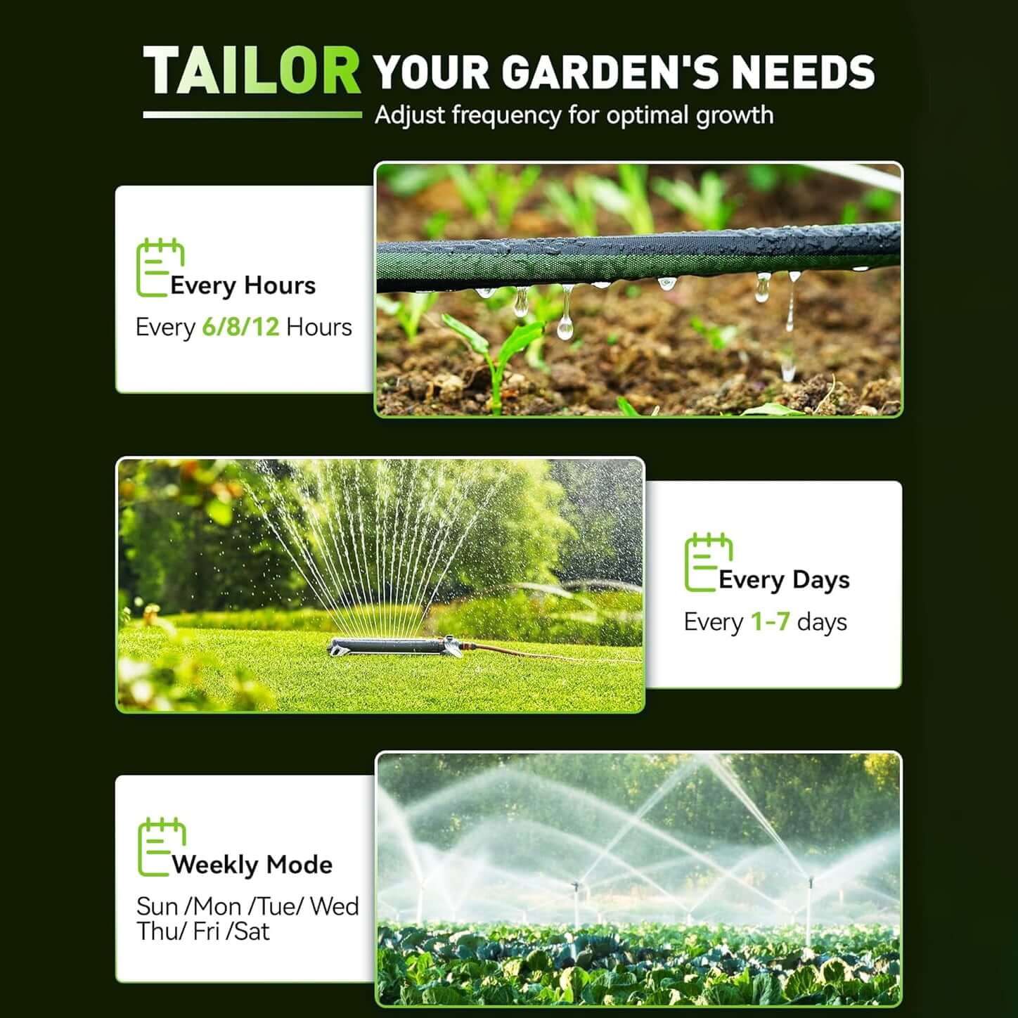 2-Pack RainPoint Programmable Automatic/Manual Irrigation System,1 Outlet