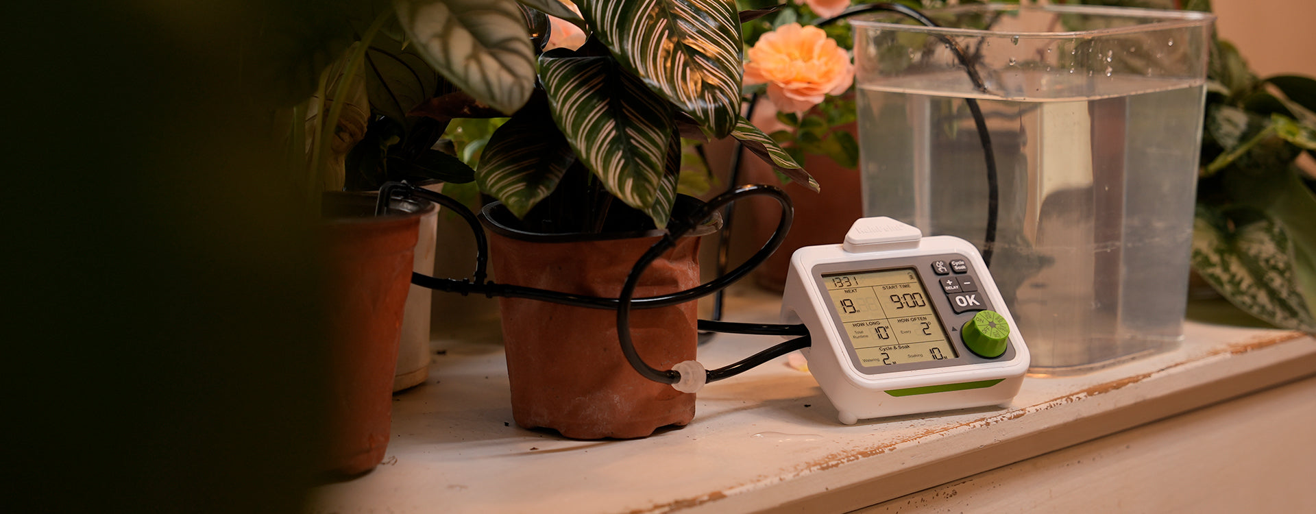 RAINPOINT Large Display Automatic Plant Waterer Indoor 