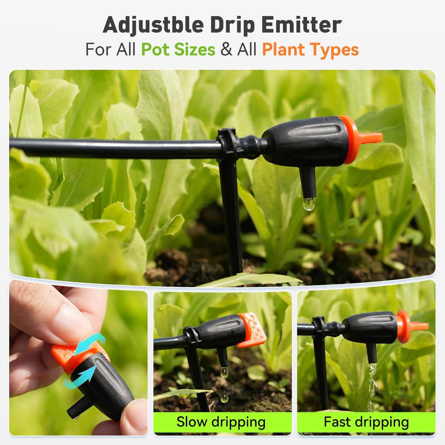 automatic plant waterer for a month RAINPOINT Beginner-Friendly Automatic Plant Waterer Indoor for 10-15 Plants