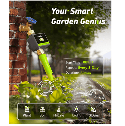RainPoint Water Timer